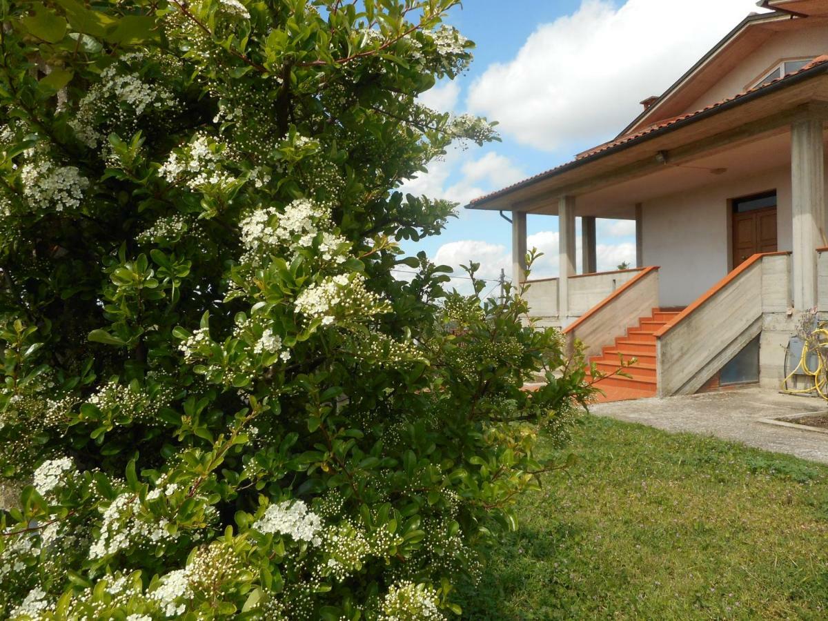 Poggio Fiorito Apartment Castiglion Fiorentino Luaran gambar