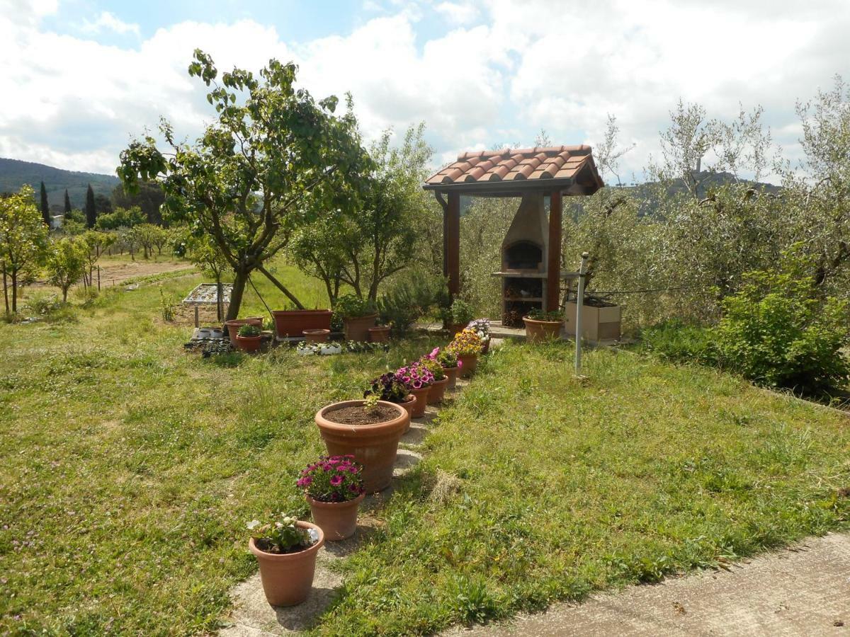Poggio Fiorito Apartment Castiglion Fiorentino Luaran gambar