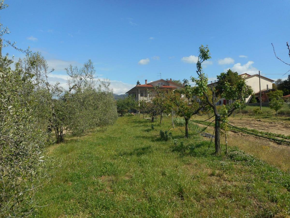 Poggio Fiorito Apartment Castiglion Fiorentino Luaran gambar