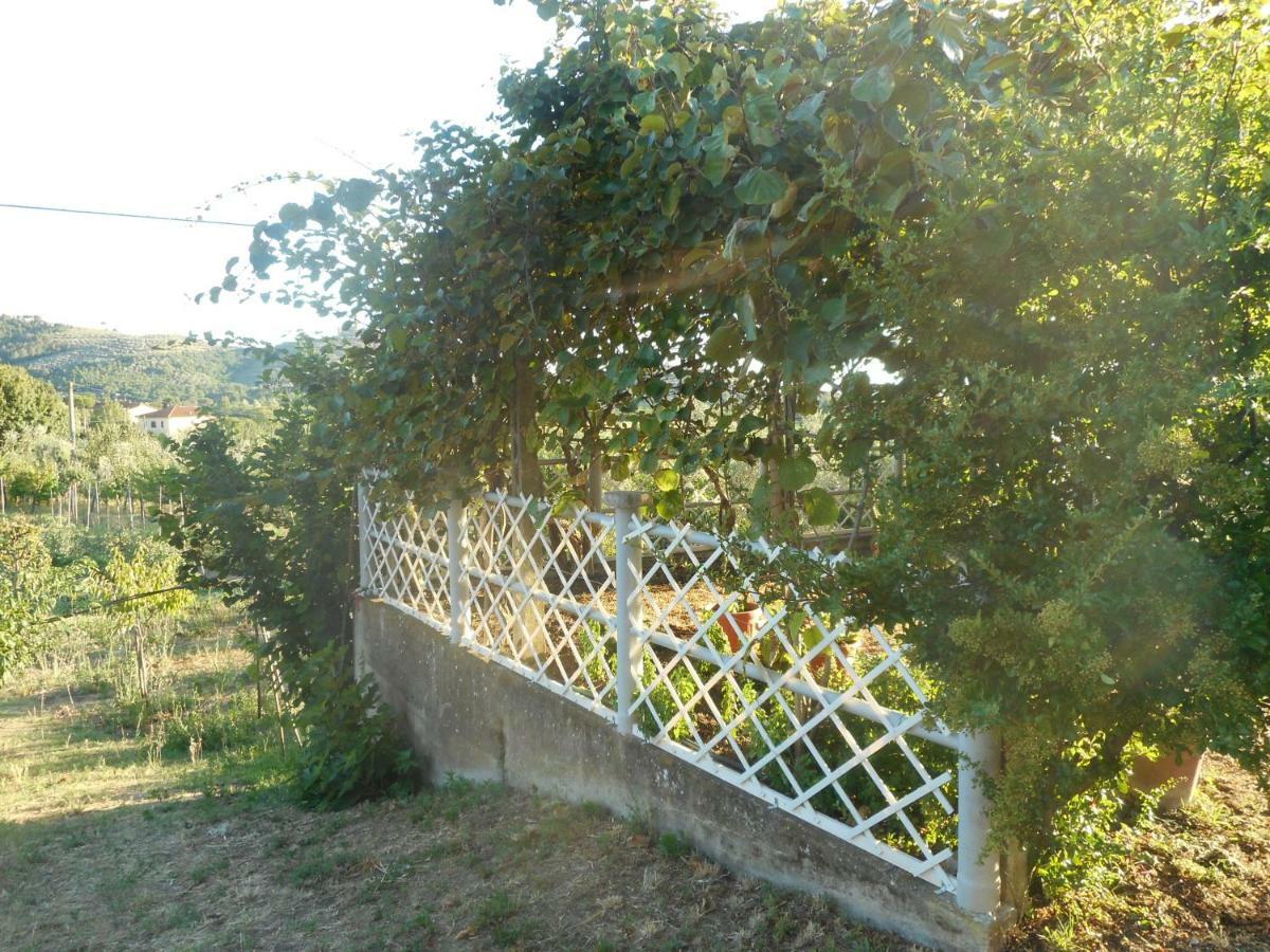 Poggio Fiorito Apartment Castiglion Fiorentino Luaran gambar